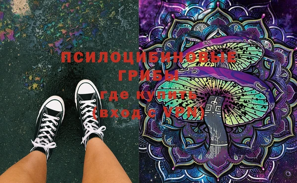 прущая мука Михайлов