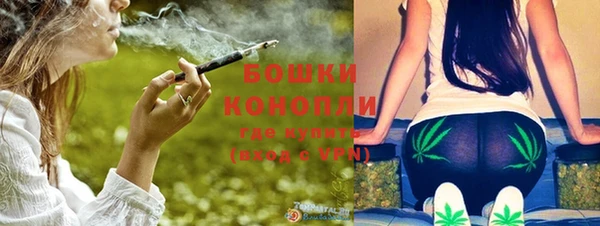 молекула духа Михайловка