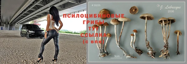молекула духа Михайловка