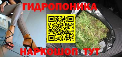 гидра Донской