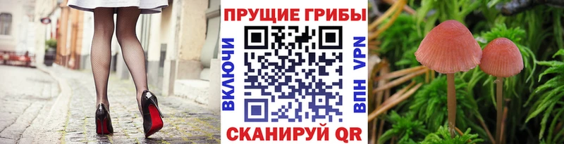 Галлюциногенные грибы ЛСД  Прокопьевск 